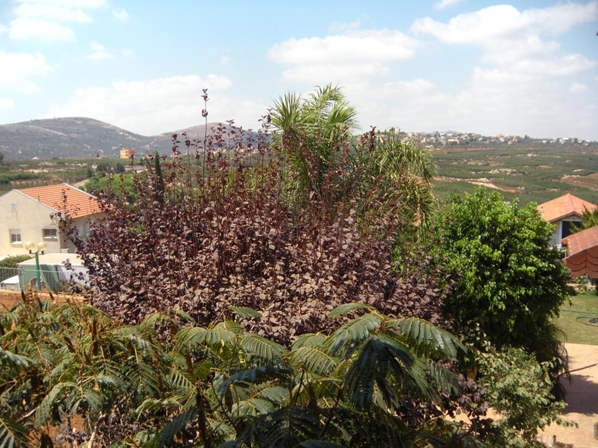 In Our Backyard - Metula Villa Exterior photo